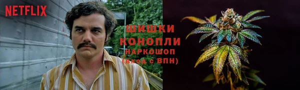 мет Протвино