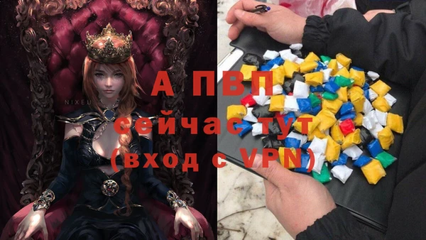 стафф Приозерск