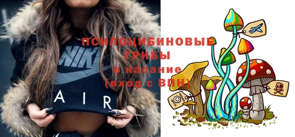 стафф Приозерск
