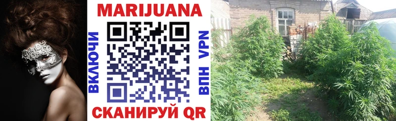 МАРИХУАНА SATIVA & INDICA  Купить закладки  Южа 